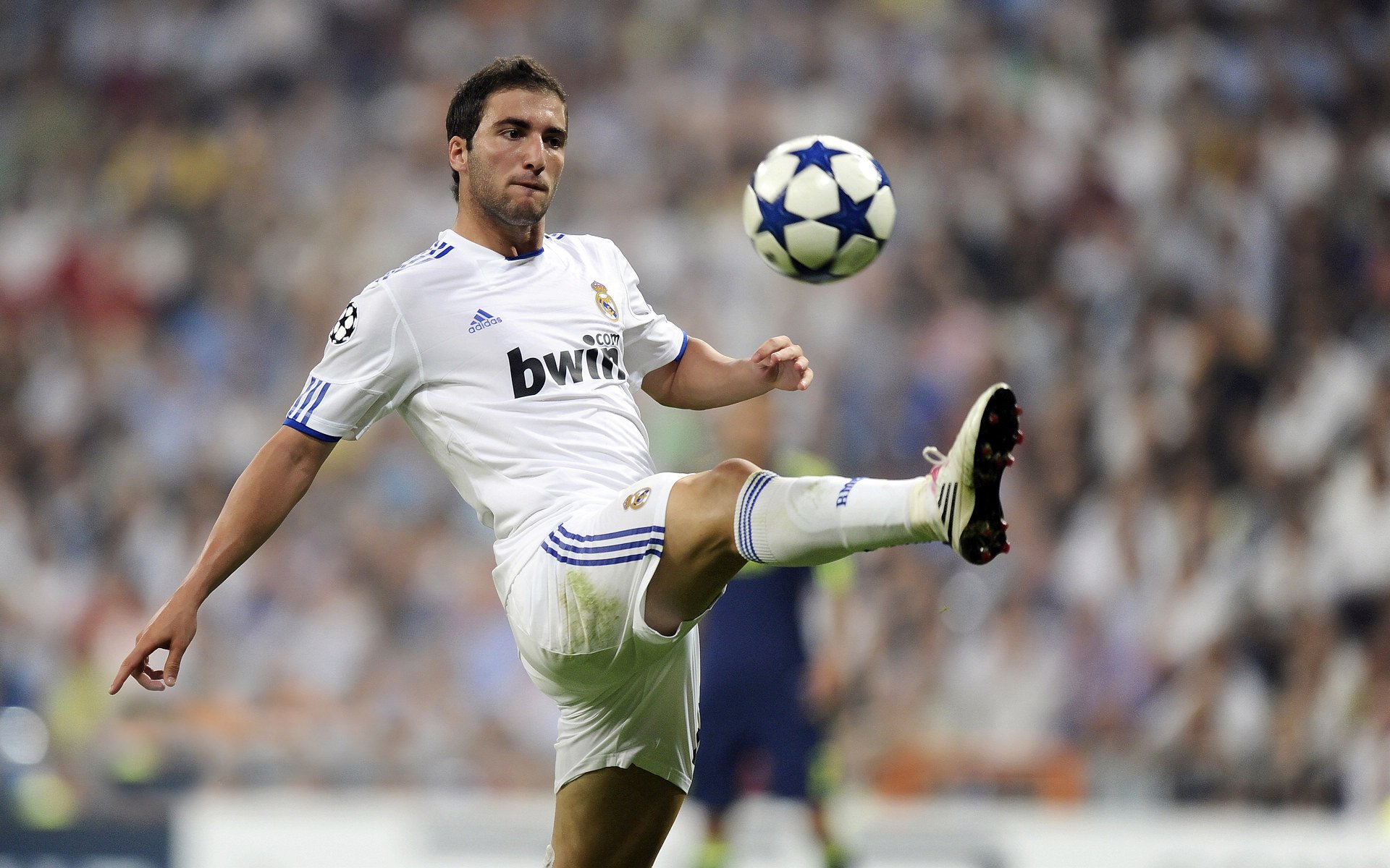 AYX GAMING-领头羊不敌劲旅，霍芬海姆再添一砝码，霍芬海姆在德国哪里