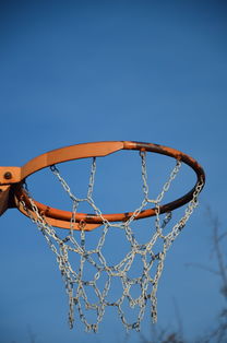 爱游戏-NBA球队球员培养规划设计，nba对球员的要求是什么