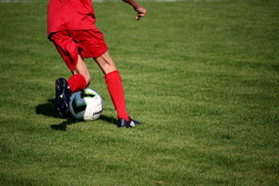 爱游戏体育APP下载-鹈鹕青训体系被评为联盟样板项目，鹈鹕原来是哪个队